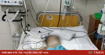 Cứu sống bé trai sốc nhiễm khuẩn, suy đa cơ quan