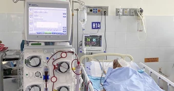 Cứu sống cụ ông 98 tuổi bị ong vò vẽ đốt gần 80 nốt