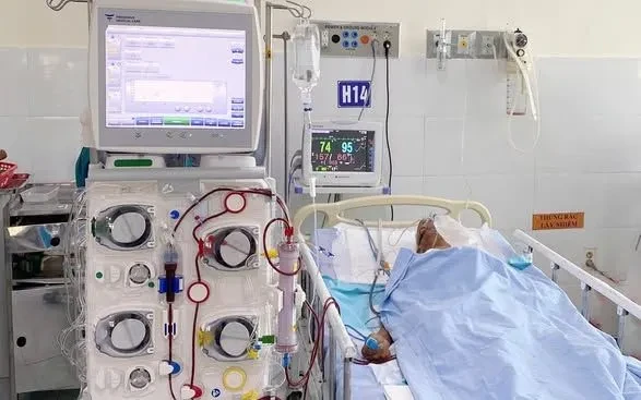 Cứu sống cụ ông bị ong vò vẽ đốt gần 80 nốt Cứu sống cụ ông bị ong vò vẽ đốt gần 80 nốt