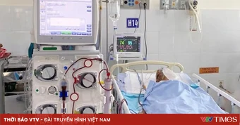 Cứu sống cụ ông bị ong vò vẽ đốt gần 80 nốt