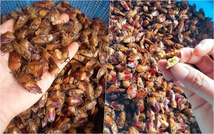 'Đặc sản' mua theo mạng xã hội: Từ tò mò dễ trở thành rủi ro sức khỏe 'Đặc sản' mua theo mạng xã hội: Từ tò mò dễ trở thành rủi ro sức khỏe