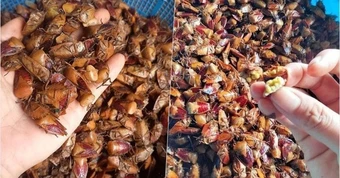 'Đặc sản' mua theo mạng xã hội: Từ tò mò dễ trở thành rủi ro sức khỏe