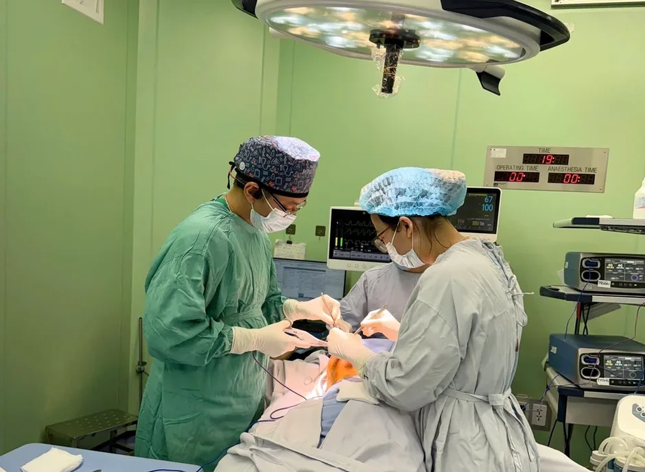 Đang du học tại Đức, nữ sinh về Việt Nam điều trị khối u vú khổng lồ Đang du học tại Đức, nữ sinh về Việt Nam điều trị khối u vú khổng lồ