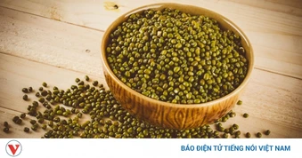 Đang uống thuốc kháng sinh có nên ăn đậu xanh?