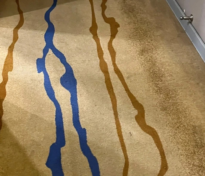 Danh sách 8 thứ "bẩn" nhất trong khách sạn hay nhà nghỉ: Ấm đun nước bị gọi tên, cái đứng đầu không ai ngờ đến Danh sách 8 thứ "bẩn" nhất trong khách sạn hay nhà nghỉ: Ấm đun nước bị gọi tên, cái đứng đầu không ai ngờ đến