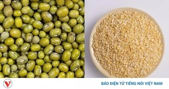 Đậu xanh có vỏ hay bóc vỏ: Loại nào tốt hơn cho sức khỏe?