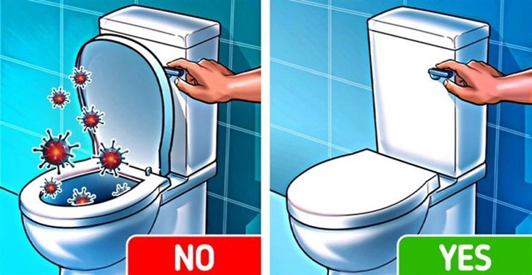 Đậy nắp bồn cầu có tác dụng gì? Đậy nắp bồn cầu có tác dụng gì?