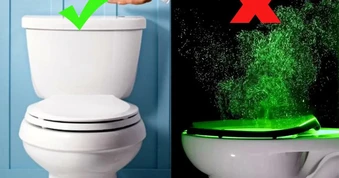 Đậy nắp bồn cầu có tác dụng gì?