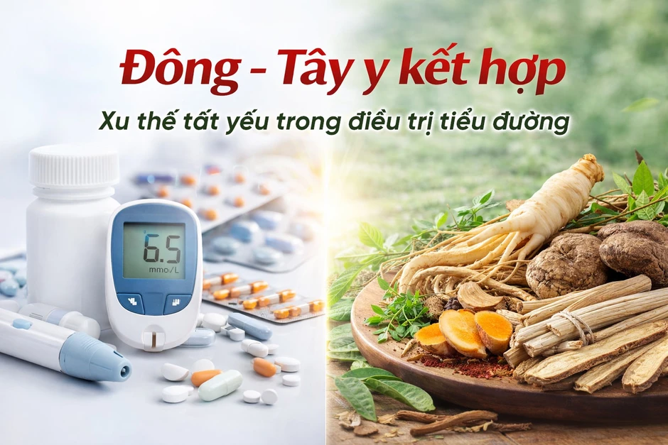 Dây thìa canh và bước tiến khoa học trong kiểm soát đường huyết: Từ y học cổ truyền đến bằng chứng hiện đại Dây thìa canh và bước tiến khoa học trong kiểm soát đường huyết: Từ y học cổ truyền đến bằng chứng hiện đại