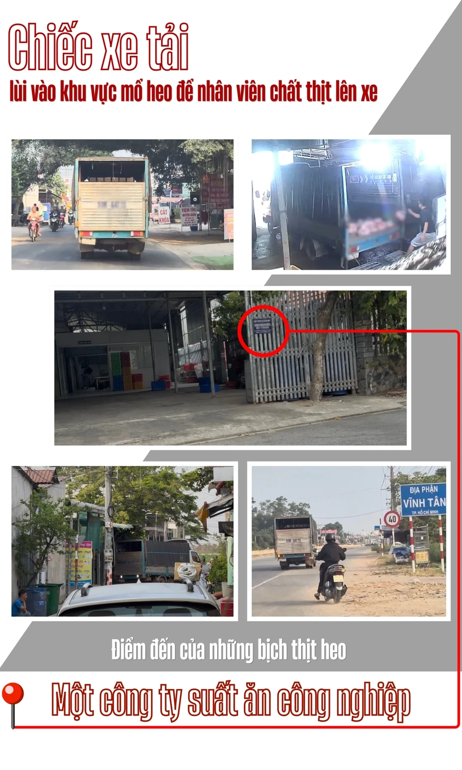 Điều tra: Thịt bẩn luồn lách đến bữa ăn - Kỳ 2: Đường đi của xe chở thịt heo chết lúc rạng sáng Điều tra: Thịt bẩn luồn lách đến bữa ăn - Kỳ 2: Đường đi của xe chở thịt heo chết lúc rạng sáng