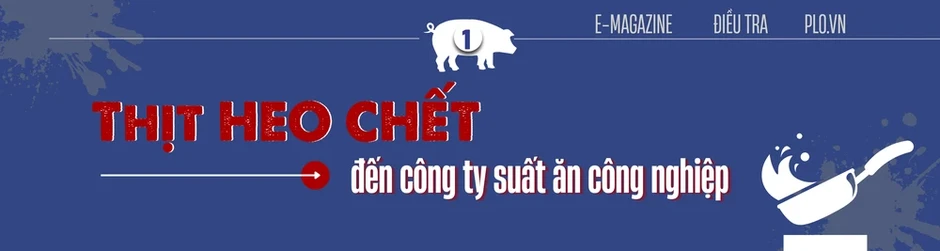 Điều tra: Thịt bẩn luồn lách đến bữa ăn - Kỳ 2: Đường đi của xe chở thịt heo chết lúc rạng sáng Điều tra: Thịt bẩn luồn lách đến bữa ăn - Kỳ 2: Đường đi của xe chở thịt heo chết lúc rạng sáng