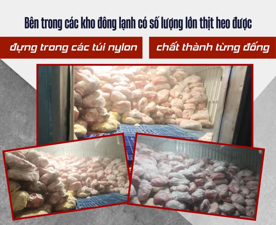 Điều tra: Thịt bẩn luồn lách đến bữa ăn - Kỳ 2: Đường đi của xe chở thịt heo chết lúc rạng sáng Điều tra: Thịt bẩn luồn lách đến bữa ăn - Kỳ 2: Đường đi của xe chở thịt heo chết lúc rạng sáng