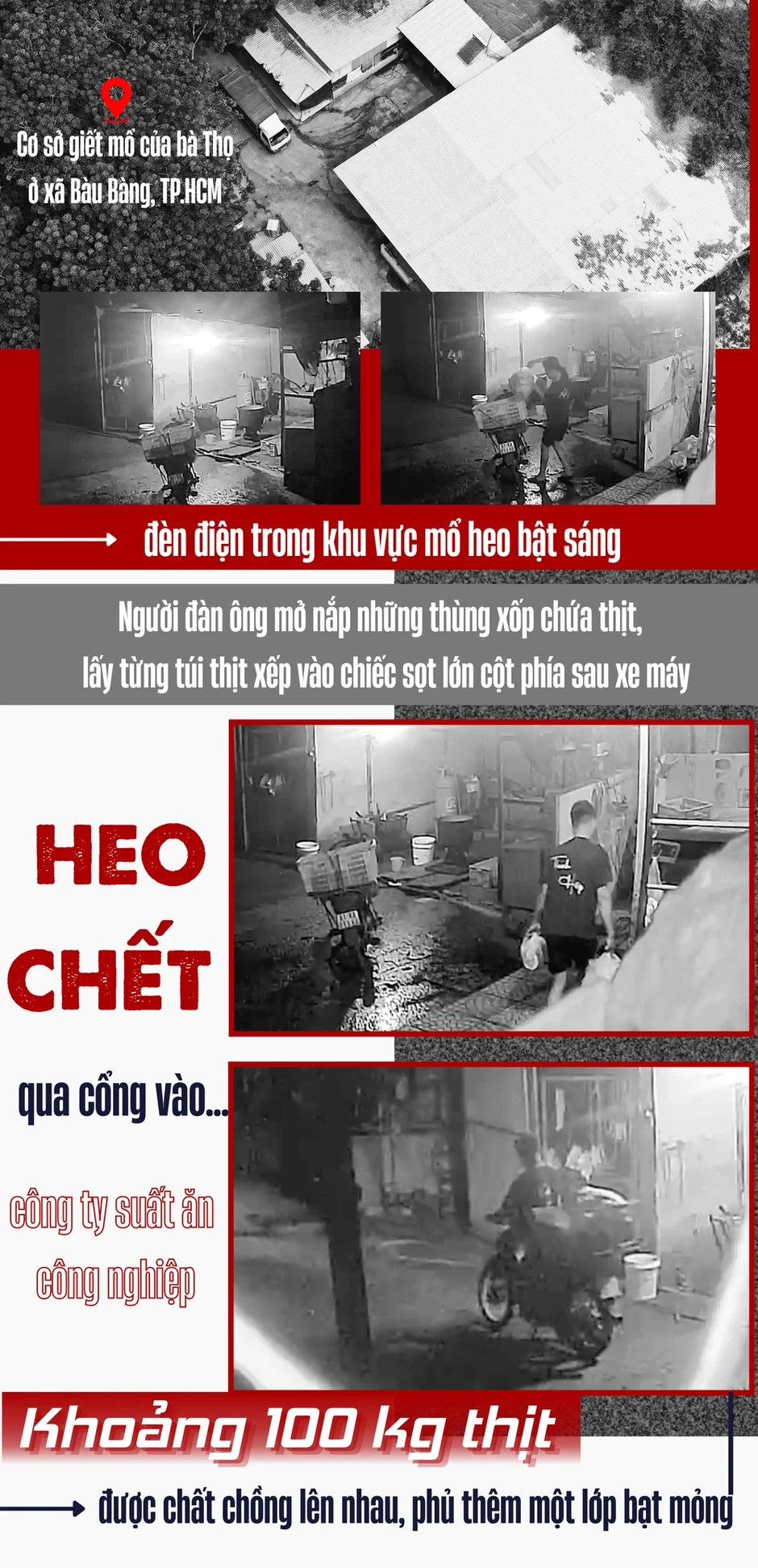 Điều tra: Thịt bẩn luồn lách đến bữa ăn - Kỳ 2: Đường đi của xe chở thịt heo chết lúc rạng sáng Điều tra: Thịt bẩn luồn lách đến bữa ăn - Kỳ 2: Đường đi của xe chở thịt heo chết lúc rạng sáng
