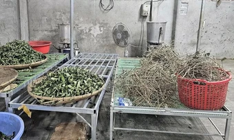 Độc dược núp bóng 'thần y ba đời'