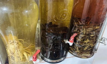 Độc tính chết người giấu trong những bình rượu tự ngâm