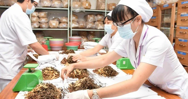 Đưa y học cổ truyền về với cộng đồng: Hướng đi chiến lược cho sức khỏe nhân dân Đưa y học cổ truyền về với cộng đồng: Hướng đi chiến lược cho sức khỏe nhân dân