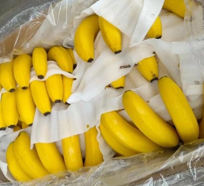 Đừng mua 5 loại chuối này, dù có rẻ đến đâu vì là "chuối được xử lý bằng hóa chất", người bán không dám ăn Đừng mua 5 loại chuối này, dù có rẻ đến đâu vì là "chuối được xử lý bằng hóa chất", người bán không dám ăn