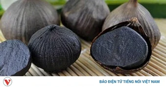Dùng tỏi đen đúng cách: Bao lâu nên dừng để tránh phản tác dụng?