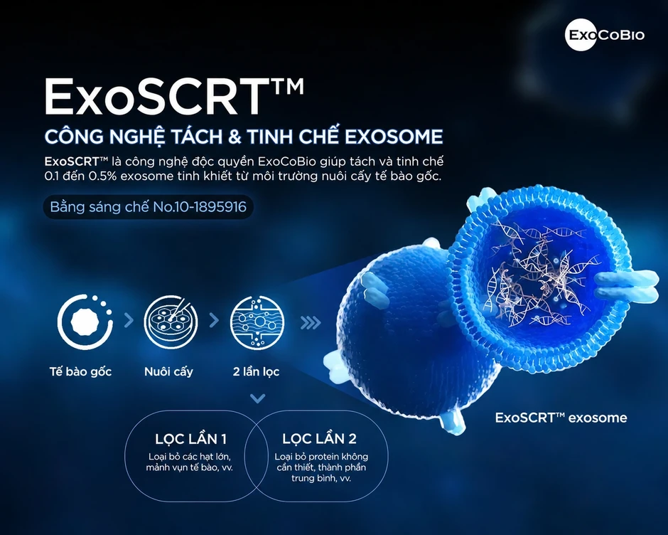 Exosome: Khi công nghệ tái tạo bắt nguồn từ dữ liệu khoa học