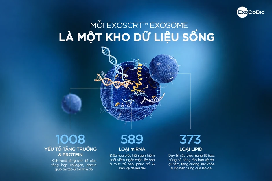 Exosome: Khi công nghệ tái tạo bắt nguồn từ dữ liệu khoa học