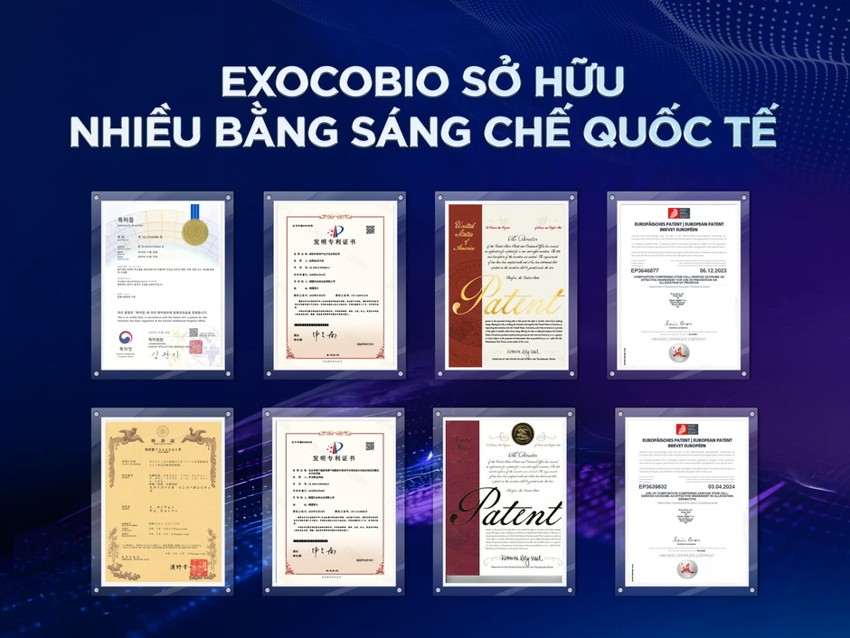 Exosome: Khi công nghệ tái tạo bắt nguồn từ dữ liệu khoa học