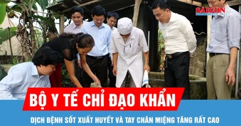 Gần 32.000 ca sốt xuất huyết, Bộ Y tế chỉ đạo khẩn