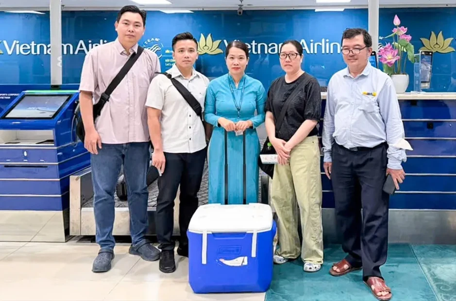 Ghép thận xuyên Việt cứu bé trai 7 tuổi tại TPHCM Ghép thận xuyên Việt cứu bé trai 7 tuổi tại TPHCM