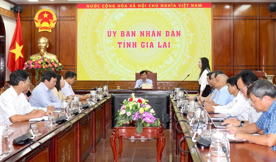 Gia Lai họp nóng vụ hàng chục ca nhập viện sau khi ăn bánh mì Gia Lai họp nóng vụ hàng chục ca nhập viện sau khi ăn bánh mì