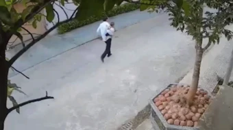 Hai bác sĩ ép tim cứu người ngừng thở giữa sân bóng chuyền