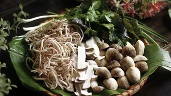 Hai sai lầm nấu ăn có thể 'rước độc'