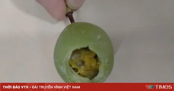Hai trẻ hôn mê sau khi ăn chanh dây rừng còn xanh