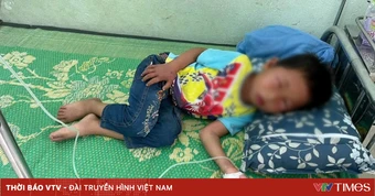 Hai trẻ sốc phản vệ nguy kịch sau khi bị đàn ong tấn công