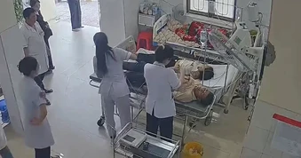 Hai vợ chồng bị ong tấn công, bác sĩ gỡ 49 con ong trên đầu người vợ