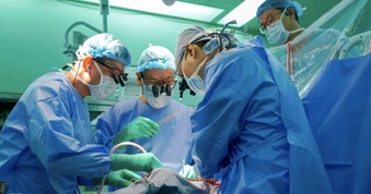 Hàng dài bác sĩ cúi đầu tri ân cô gái hiến tạng "hồi sinh" 4 người ở TPHCM