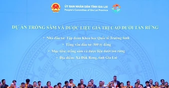 Hành trình quốc bảo sâm Việt Nam và chuẩn hoá dược liệu Việt