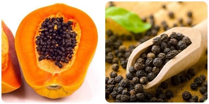 Hạt đu đủ tưởng bỏ đi nhưng lại có nhiều công dụng bất ngờ với sức khỏe Hạt đu đủ tưởng bỏ đi nhưng lại có nhiều công dụng bất ngờ với sức khỏe