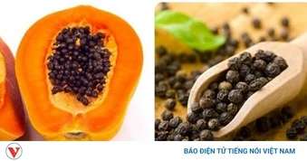 Hạt đu đủ tưởng bỏ đi nhưng lại có nhiều công dụng bất ngờ với sức khỏe