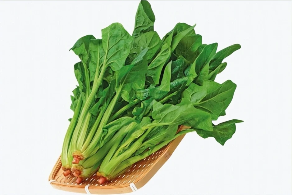 Hãy tranh thủ ăn loại rau này ngay: Giàu folate, nhiều chất xơ, giá bình dân, rất hợp cho những ngày hanh khô Hãy tranh thủ ăn loại rau này ngay: Giàu folate, nhiều chất xơ, giá bình dân, rất hợp cho những ngày hanh khô