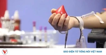 Hiến máu xong nên ăn gì và kiêng gì để hồi phục nhanh?