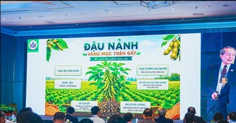 Hội thảo khoa học: Vai trò dinh dưỡng từ đậu nành và các loại hạt đối với sức khỏe và phòng chống bệnh không lây nhiễm