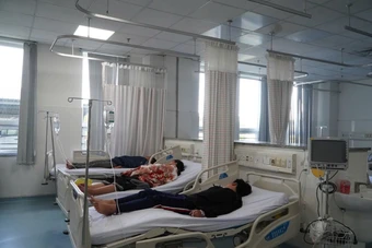 Hơn 50% mẫu xét nghiệm có Salmonella trong vụ 108 người ngộ độc sau khi ăn bánh mì ở Vũng Tàu
