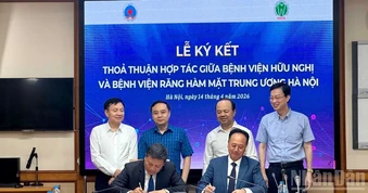 Hợp tác liên viện trong chẩn đoán, điều trị và chăm sóc răng miệng người cao tuổi