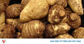 Ít ai biết khoai sọ mang lại 8 lợi ích bất ngờ cho sức khỏe