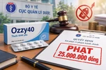 Kê khai sai giá thuốc, Công ty dược phẩm Đạt Vi Phú bị phạt 25 triệu đồng