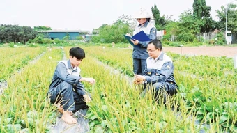 Khai thác thế mạnh dược liệu trong chăm sóc sức khỏe nhân dân