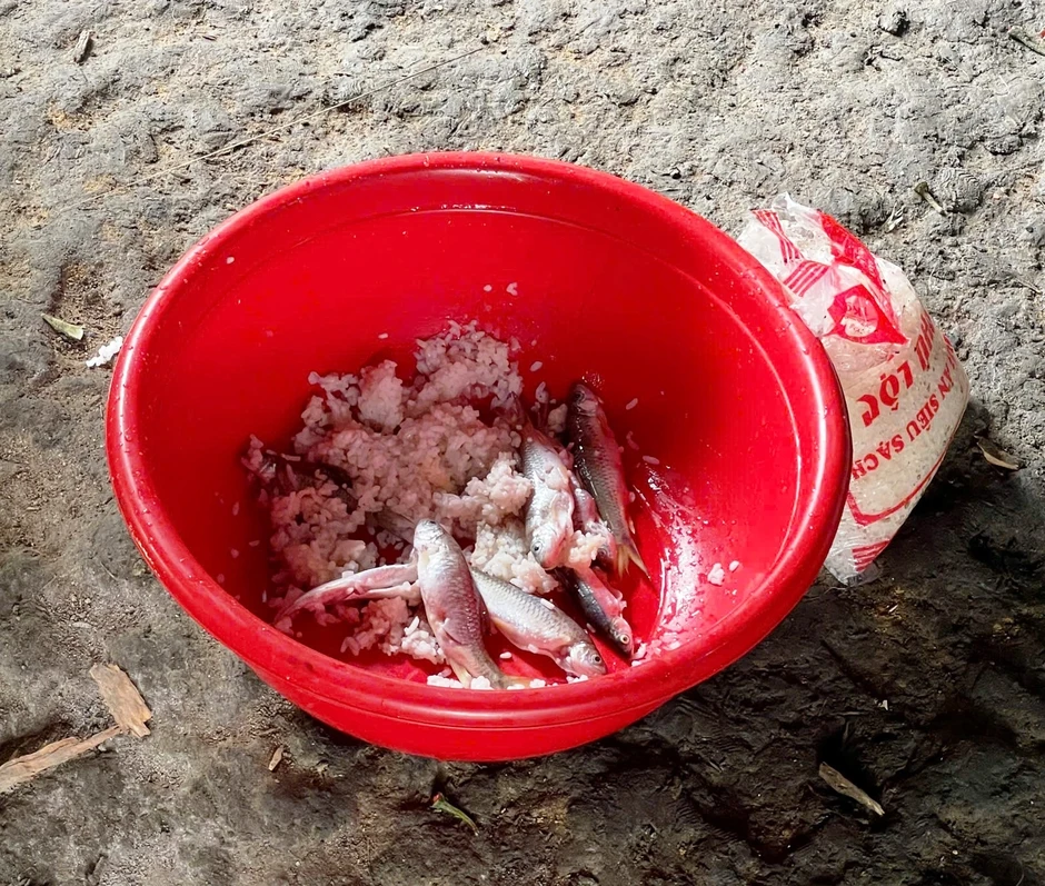 Khẩn cấp đưa thuốc giải Botulinum từ Thụy Sĩ về cứu 3 bệnh nhi đang nguy kịch Khẩn cấp đưa thuốc giải Botulinum từ Thụy Sĩ về cứu 3 bệnh nhi đang nguy kịch
