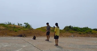 Khỉ hoang liên tiếp cắn khách du lịch trên đường ven biển ở Đắk Lắk