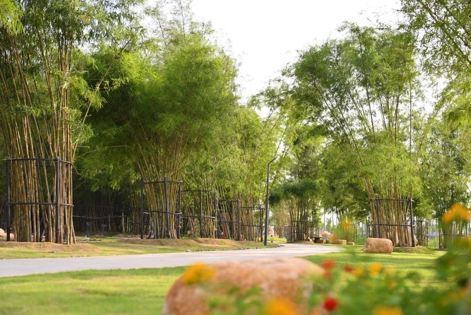 Khoa học lý giải vì sao trẻ cần tiếp xúc với thiên nhiên