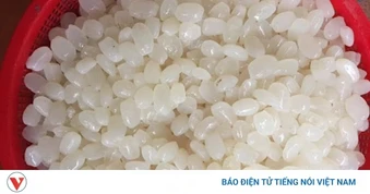 Không chỉ giòn mát dễ ăn, hạt đác còn mang lại 6 lợi ích cho sức khỏe