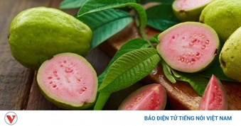 Không chỉ ngon ngọt, ổi ruột hồng còn là “kho dưỡng chất” cho cơ thể